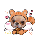 ♡♣♤♥chiwaham♥♦♧♠（個別スタンプ：22）