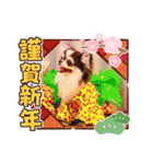 ♡♣♤♥chiwaham♥♦♧♠（個別スタンプ：23）