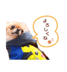 ♡♣♤♥chiwaham♥♦♧♠（個別スタンプ：28）