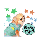 ♡♣♤♥chiwaham♥♦♧♠（個別スタンプ：31）