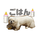 ペキニーズのもーちゃん（個別スタンプ：18）
