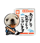 ペキニーズのもーちゃん（個別スタンプ：39）