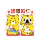 ペキニーズのもーちゃん（個別スタンプ：40）