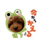うちの子 くるみ（個別スタンプ：11）