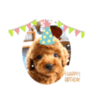 うちの子 くるみ（個別スタンプ：14）