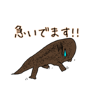 オオサンショウウオさん・改（個別スタンプ：17）