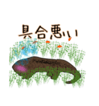 オオサンショウウオさん・改（個別スタンプ：24）