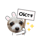 ゆめの毎日スタンプ4（個別スタンプ：2）