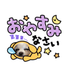 ゆめの毎日スタンプ4（個別スタンプ：5）