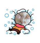 おっきなネコちゃん（個別スタンプ：22）