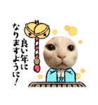 おっきなネコちゃん（個別スタンプ：29）