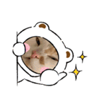 おっきなネコちゃん（個別スタンプ：31）