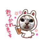 激おこぷんぷん丸ねこ（個別スタンプ：9）