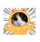 激おこぷんぷん丸ねこ（個別スタンプ：13）