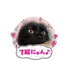 激おこぷんぷん丸ねこ（個別スタンプ：14）