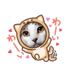 激おこぷんぷん丸ねこ（個別スタンプ：15）