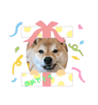 たろうさん・こっちゃんスタンプパート2（個別スタンプ：11）