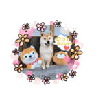 たろうさん・こっちゃんスタンプパート2（個別スタンプ：13）
