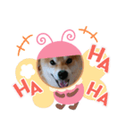 たろうさん・こっちゃんスタンプパート2（個別スタンプ：20）