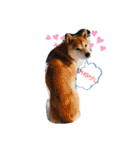たろうさん・こっちゃんスタンプパート2（個別スタンプ：23）