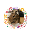 優しいデグー達（個別スタンプ：3）