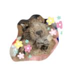 優しいデグー達（個別スタンプ：6）