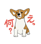 動物達の友達（個別スタンプ：1）