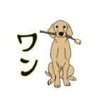 動物達の友達（個別スタンプ：4）