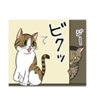 お茶目な日本猫のスタンプ（個別スタンプ：15）