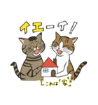 お茶目な日本猫のスタンプ（個別スタンプ：16）