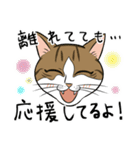 お茶目な日本猫のスタンプ（個別スタンプ：24）