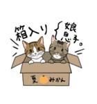 お茶目な日本猫のスタンプ（個別スタンプ：40）