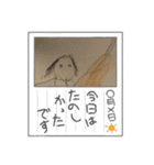 つーちゃんおえかき②（個別スタンプ：3）