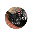 ari＊hamu＊tino（個別スタンプ：3）