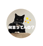 ari＊hamu＊tino（個別スタンプ：9）