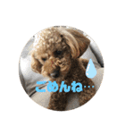 ari＊hamu＊tino（個別スタンプ：19）