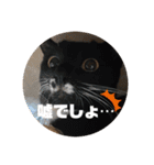 ari＊hamu＊tino（個別スタンプ：20）