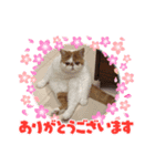yo-dada（個別スタンプ：4）