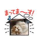 yo-dada（個別スタンプ：5）