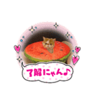 yo-dada（個別スタンプ：6）