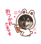 山岸ふぁくんスタンプ（個別スタンプ：7）