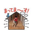 山岸ふぁくんスタンプ（個別スタンプ：9）