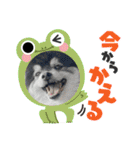 山岸ふぁくんスタンプ（個別スタンプ：10）