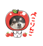 山岸ふぁくんスタンプ（個別スタンプ：12）