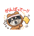 山岸ふぁくんスタンプ（個別スタンプ：13）