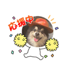 山岸ふぁくんスタンプ（個別スタンプ：14）