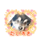 山岸ふぁくんスタンプ（個別スタンプ：16）