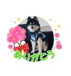 山岸ふぁくんスタンプ（個別スタンプ：17）