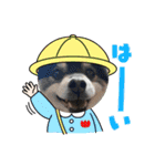 山岸ふぁくんスタンプ（個別スタンプ：24）
