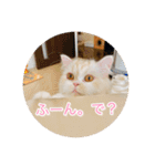 ドラジェのにちじょう（個別スタンプ：2）